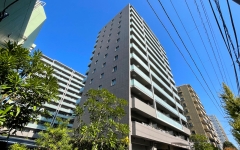 クレヴィア辰巳