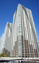 THE TOKYO TOWERS