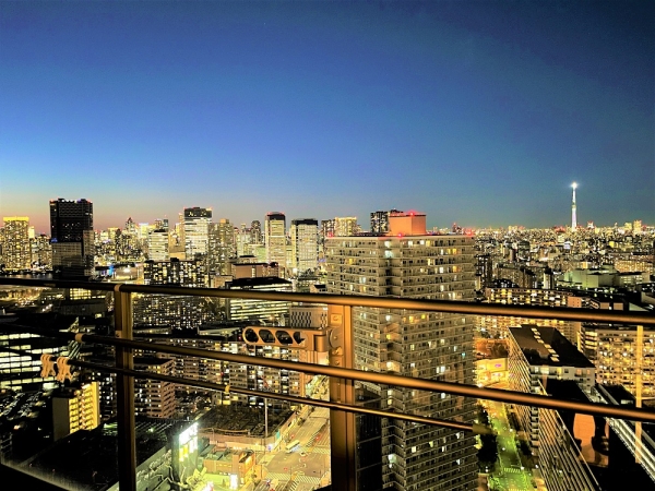 パークタワー東雲_2