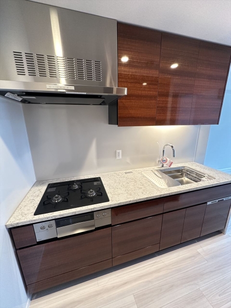 HARUMI FLAG SUN VILLAGE T棟_5