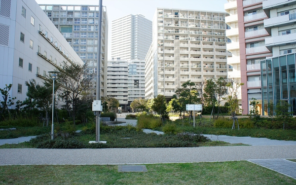 外構(遊歩道)