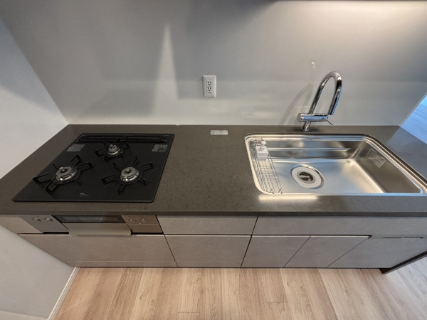 HARUMI FLAG SUN VILLAGE T棟_3