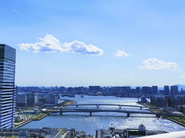 THE TOYOSU TOWER_1