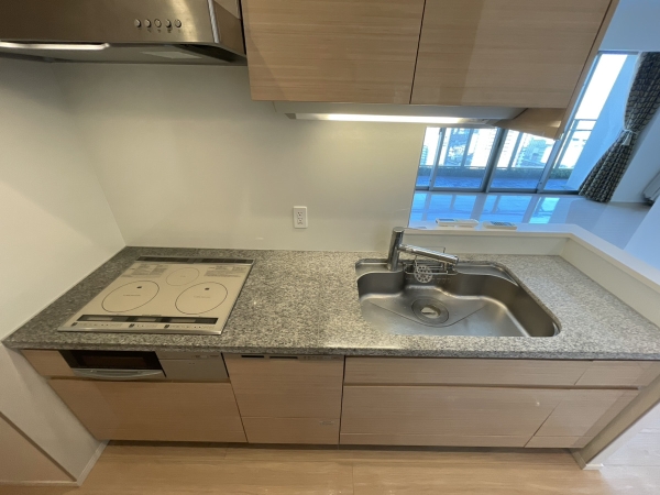 パークタワー東雲_5