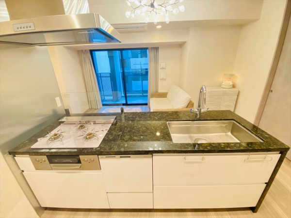 プレミスト東銀座築地 Arc Court_4