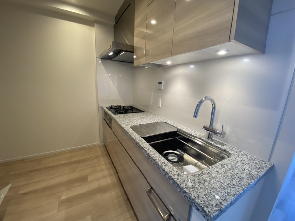 ブランズタワー豊洲_4